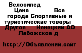 Велосипед Viva Castle › Цена ­ 14 000 - Все города Спортивные и туристические товары » Другое   . Ненецкий АО,Лабожское д.